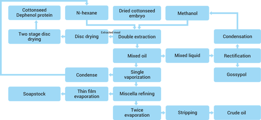 Cottonseed dephenol protein extraction diagram