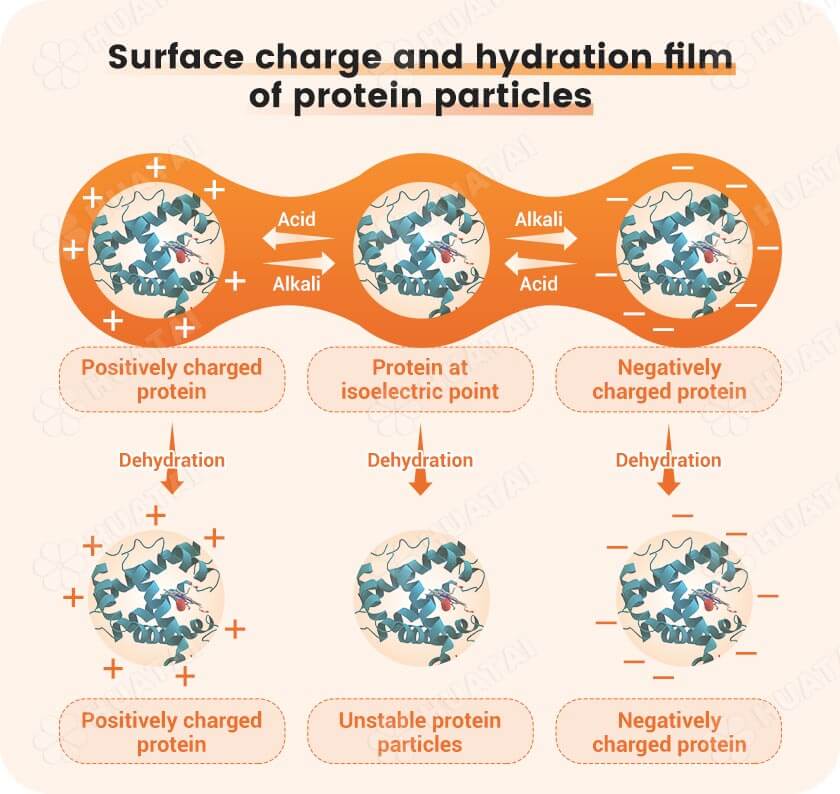 Industrial feed protein extraction principle